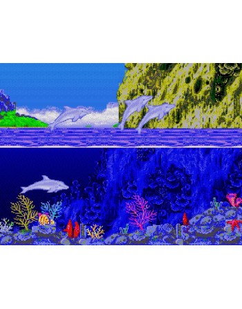 Ecco the Dolphin
