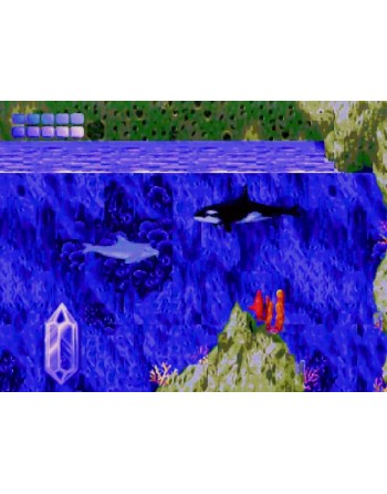 Ecco the Dolphin
