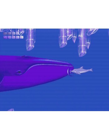 Ecco the Dolphin