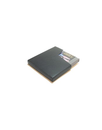 Wizards and Warriors III