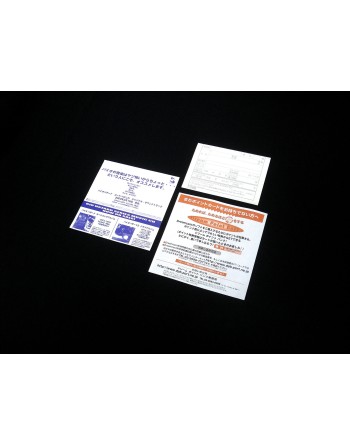 BioHazard Code Veronica Standard Edition