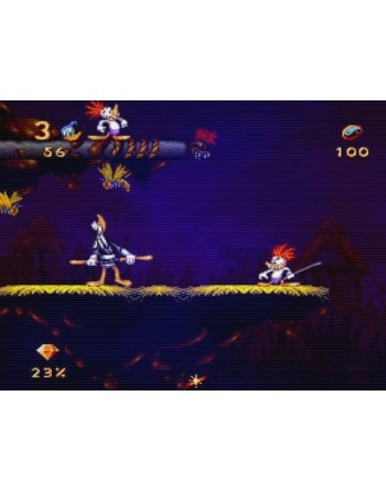 Donald in Maui Mallard