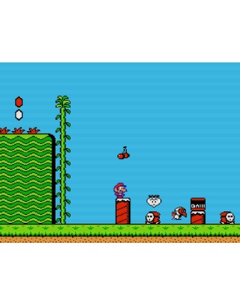 Super Mario Bros. 2