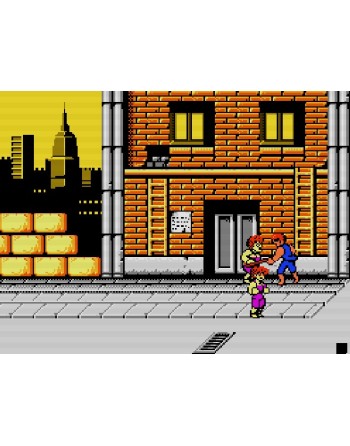 Double Dragon II