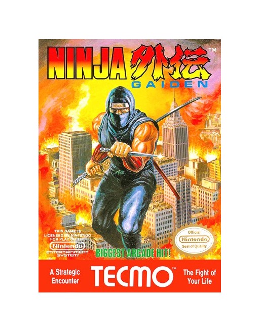Ninja Gaiden Shadow Warriors