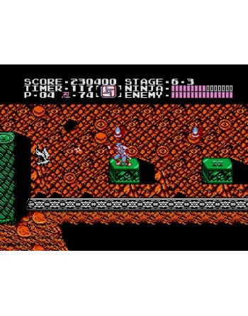 Ninja Gaiden Shadow Warriors