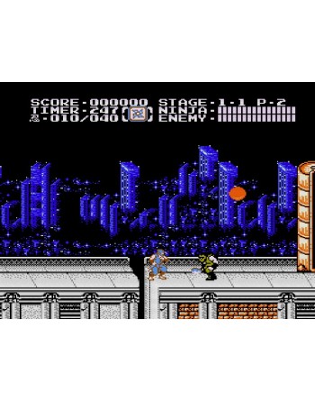 Ninja Gaiden Shadow Warriors