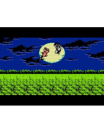 Ninja Gaiden Shadow Warriors