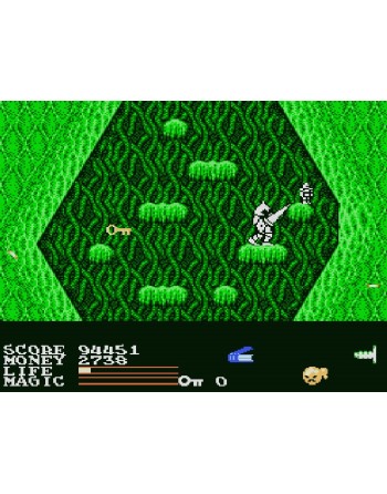 Iron Sword Wizards and Warriors II