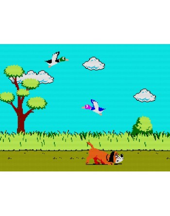 Duck Hunt