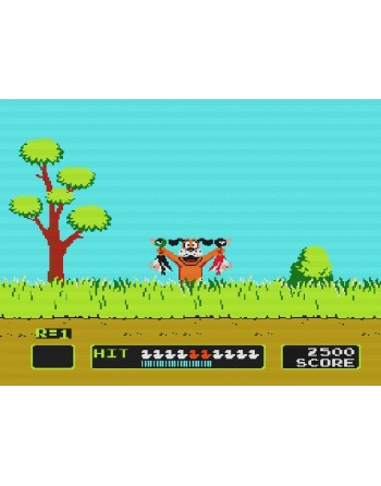 Duck Hunt
