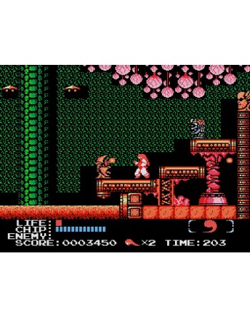 Kabuki Quantum Fighter