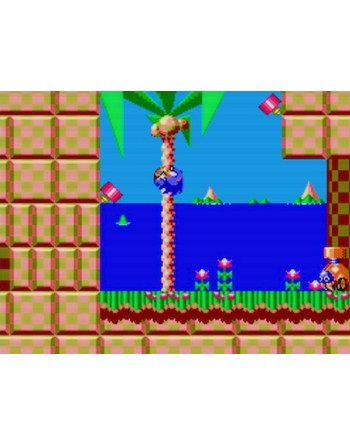 Sonic the Hedgehog Chaos