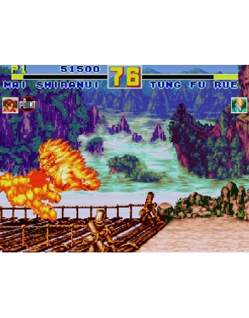 Garou Densetsu Special