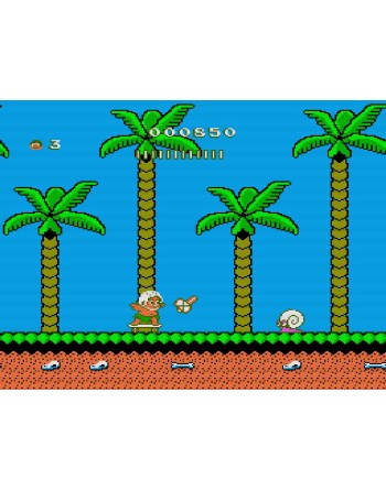 Takahashi Meijin no Boken Jima II [Adventure Island 2]
