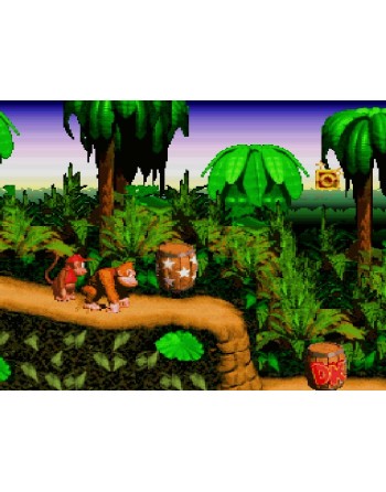 Donkey Kong Country