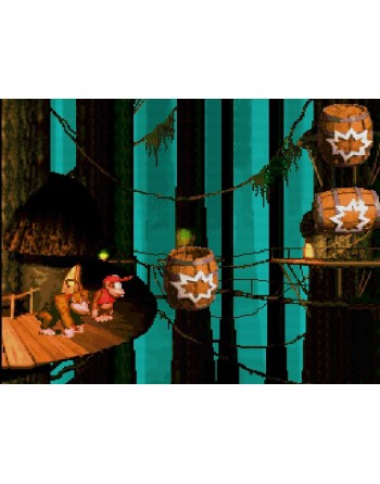 Donkey Kong Country