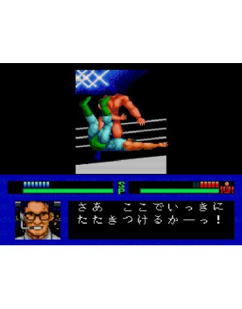 Maniac Pro Wrestling