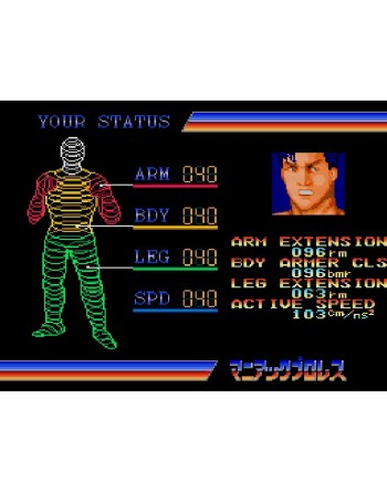 Maniac Pro Wrestling