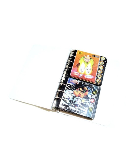 Album de Cartes SNK