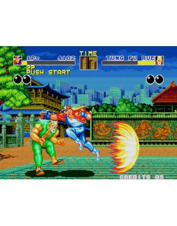 Garou Densetsu [Fatal Fury]