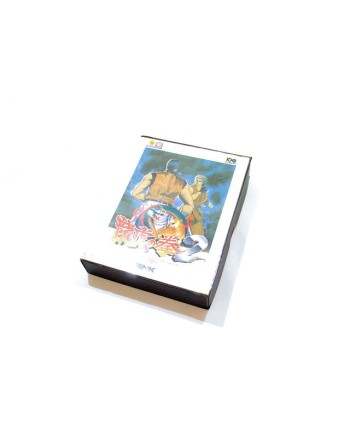 Ryuuko no Ken 2 [Art of Fighting 2]