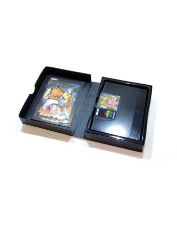 Ryuuko no Ken 2 [Art of Fighting 2]